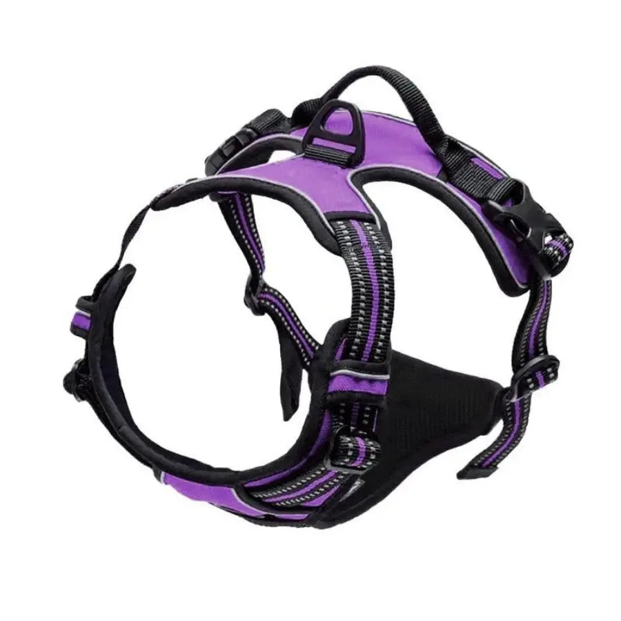 Leather Dog Harness &amp; Leash Set – Petjoy