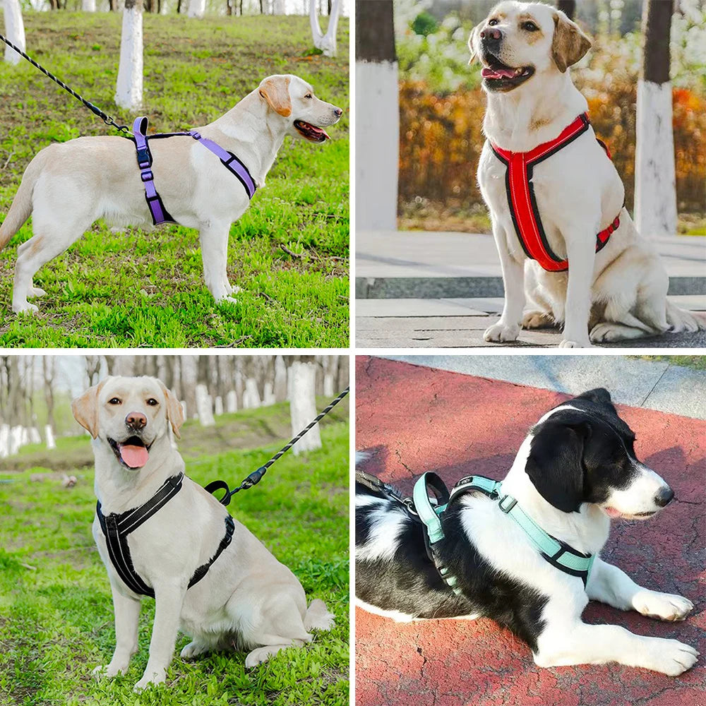 Reflective Control Dog Vest Harness – Petjoy