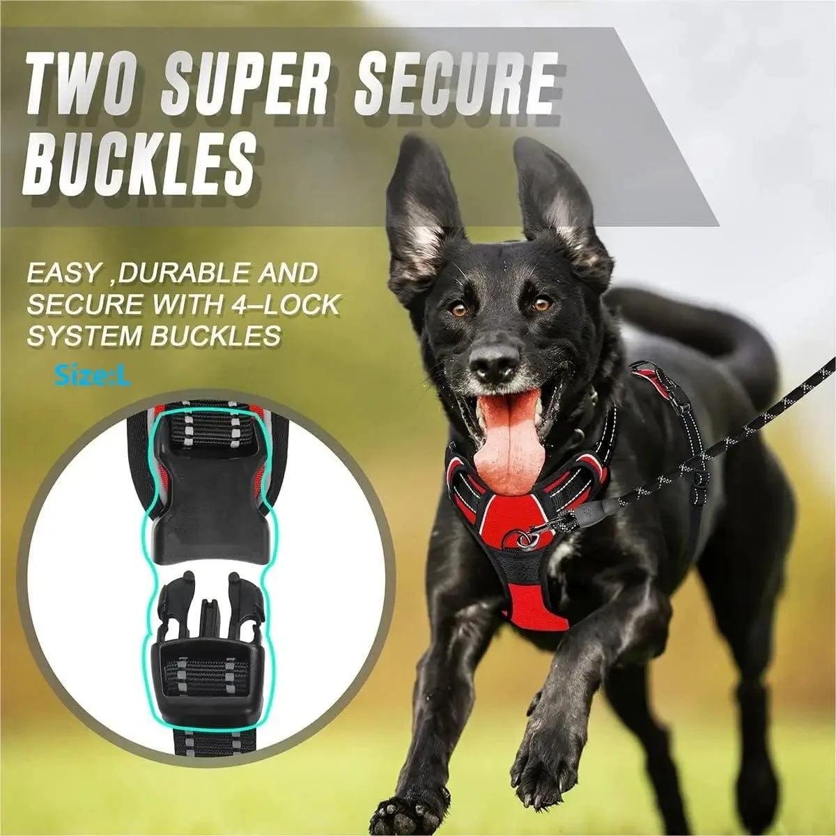 Leather Dog Harness &amp; Leash Set – Petjoy