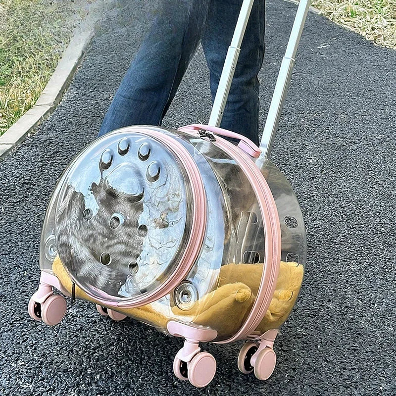 Transparent Wheeled Pet Travel Carrier for Cats Small Dogs – PetJoy