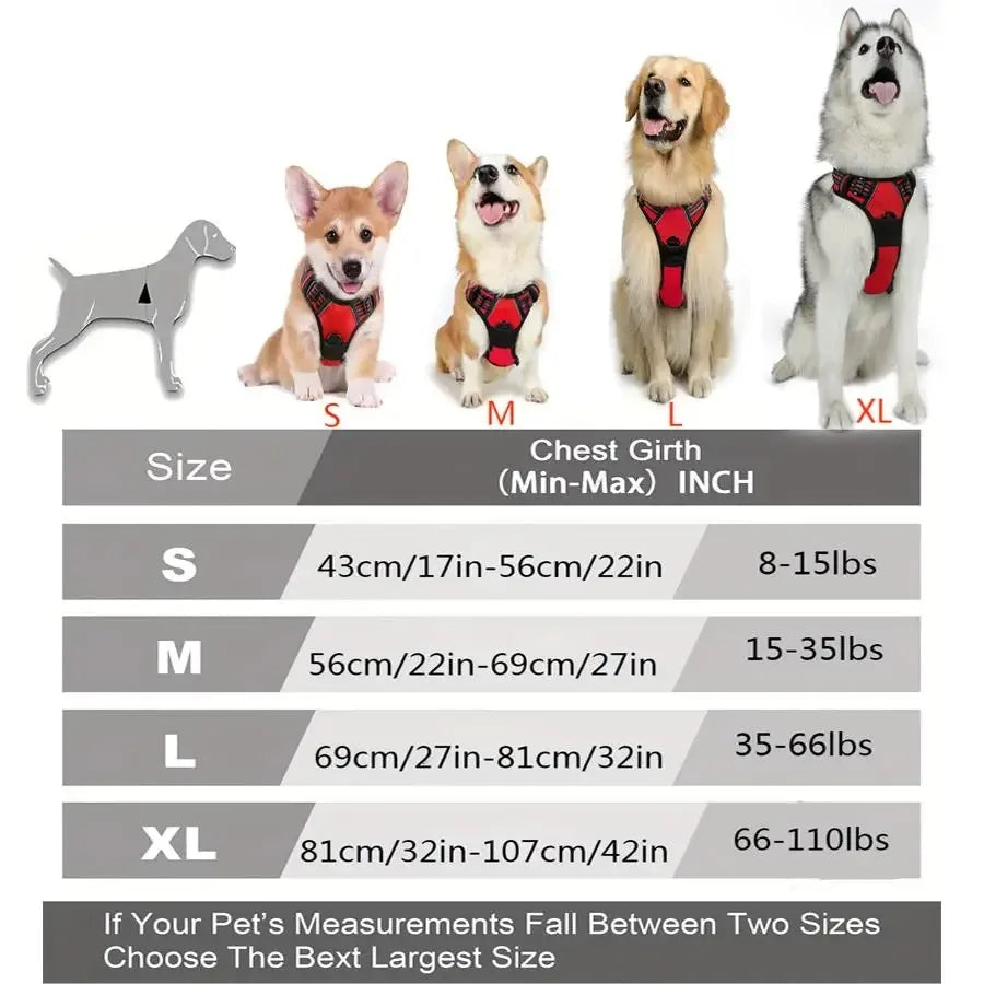 Leather Dog Harness &amp; Leash Set – Petjoy