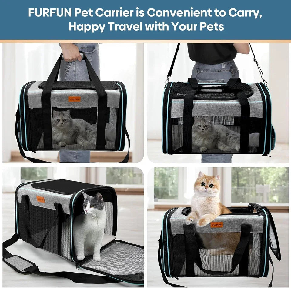 Airline-Approved Soft Travel Carrier for Dogs – Petjoy
