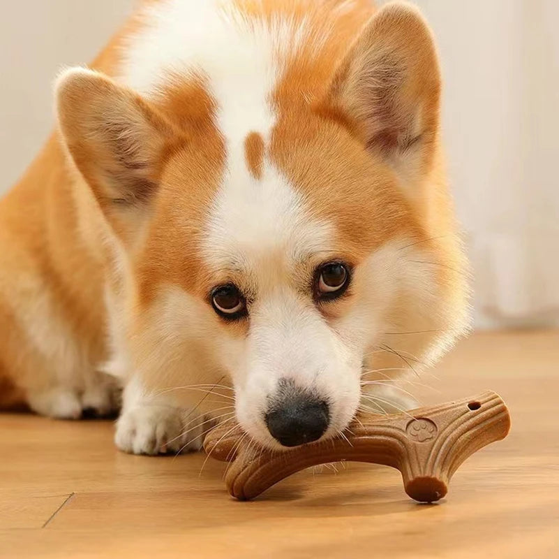 Bite-Resistant Pine Wood Chew Toy – Dental Stick for Dogs – PetJoy