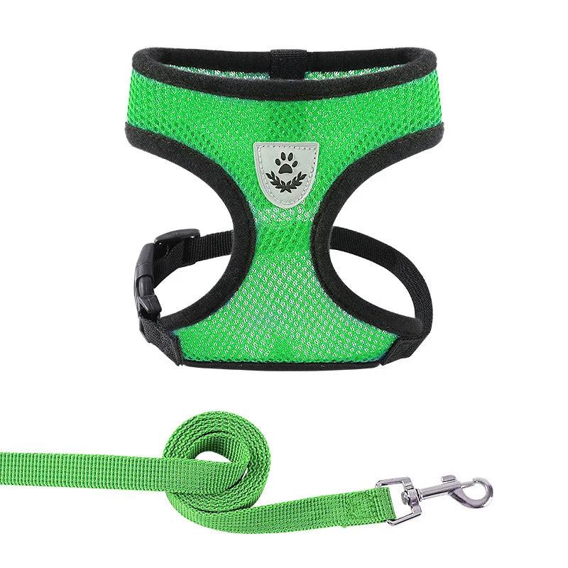 Breathable Mesh Harness &amp; Leash Set – Petjoy