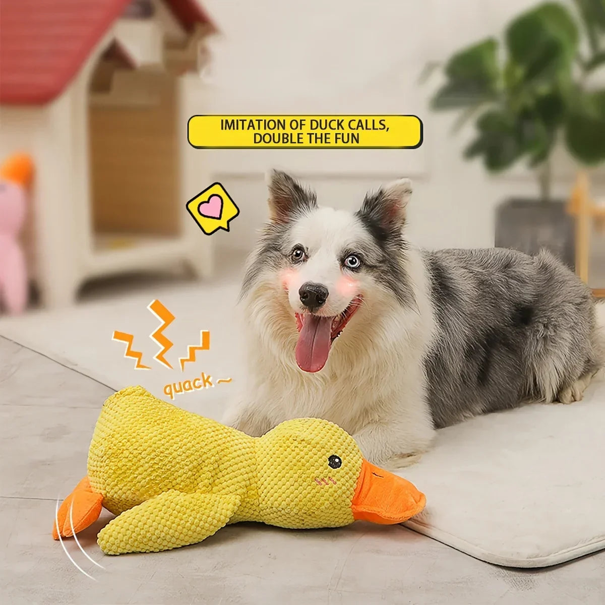 Large Duck Squeaky Chew Toy for Dogs – Petjoy
