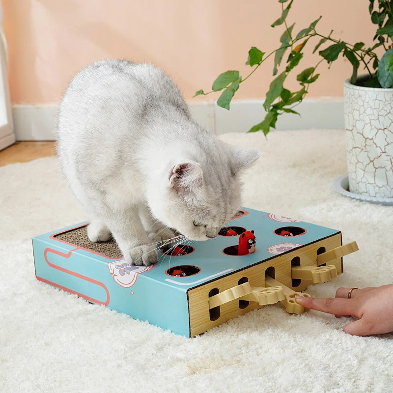 Whack-a-Mole Cat Scratching Board – Petjoy