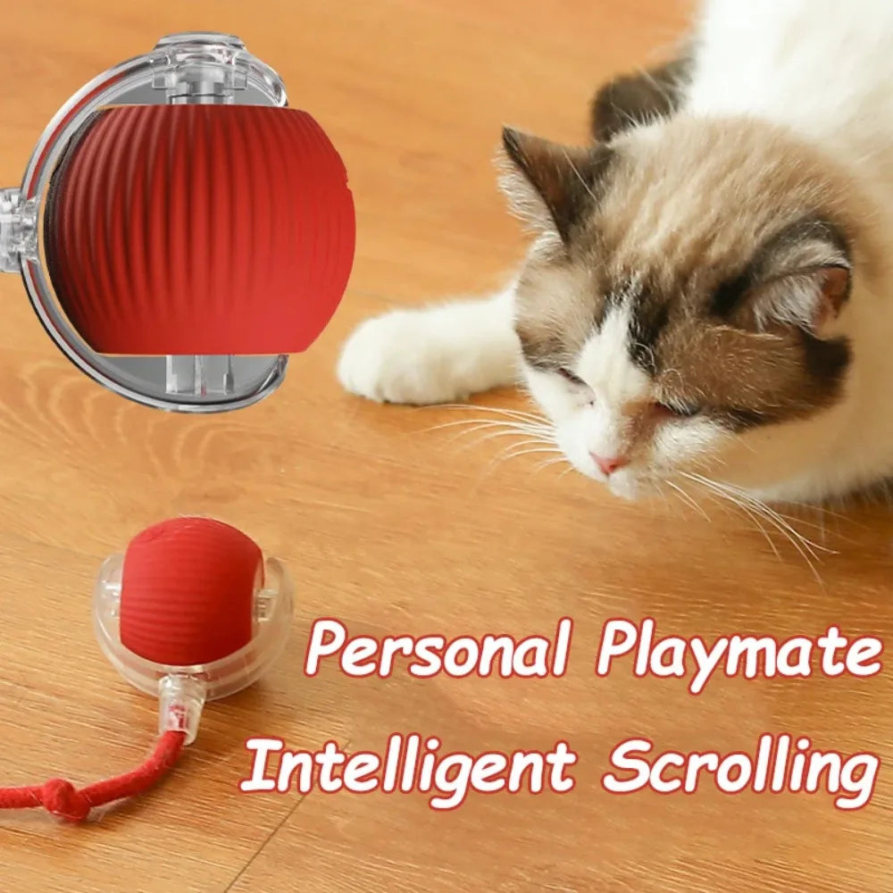 Smart Rolling Mouse Ball for Cats – Petjoy