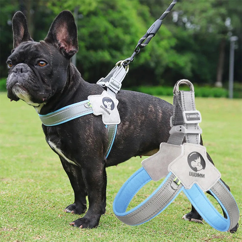 Reflective Mesh Dog Harness – Adjustable Chest Strap for Small &amp; Large Dogs – PetJoy