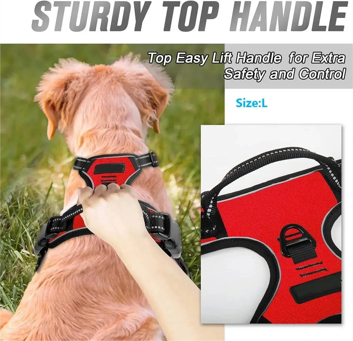Leather Dog Harness &amp; Leash Set – Petjoy