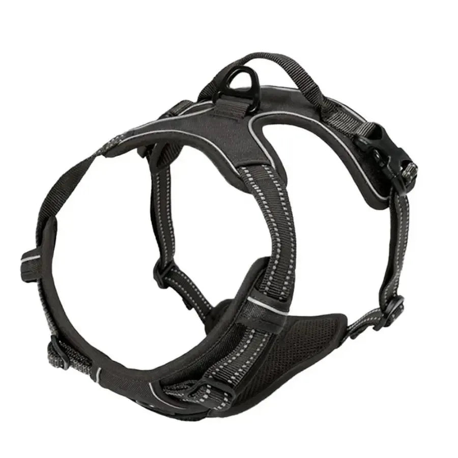 Leather Dog Harness &amp; Leash Set – Petjoy