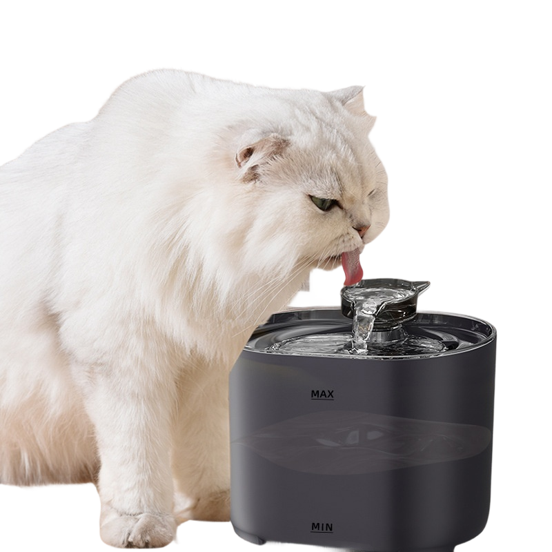 Cat Automatic Water Dispenser Circulation