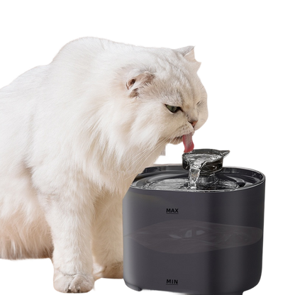 Cat Automatic Water Dispenser Circulation
