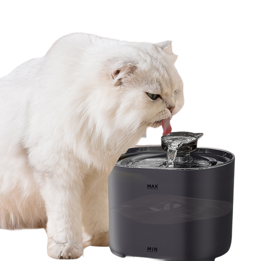 Cat Automatic Water Dispenser Circulation