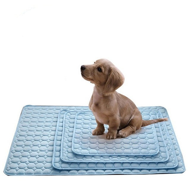 Ice Pet Mat - PetJoy